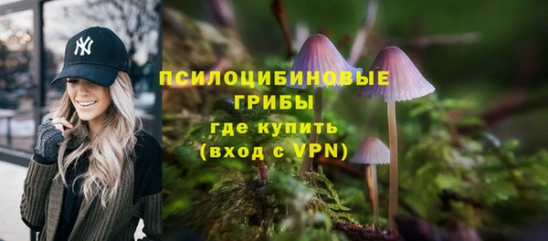 кокс Аркадак